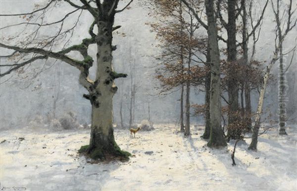 Winterliche Waldlichtung Mit Einem Reh - view 1
