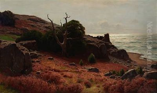 Late Summer At The Swedish Coast - view 1