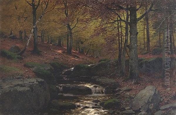 Stream In The Forest - view 1