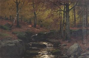 Stream In The Forest by Konrad Alexander Mueller-Kurzwelly