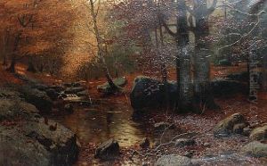 A Woodland Stream A Woodland Stream
