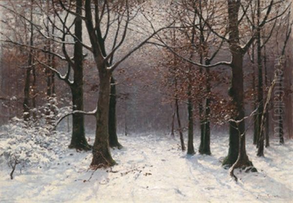 Winterwald - view 1
