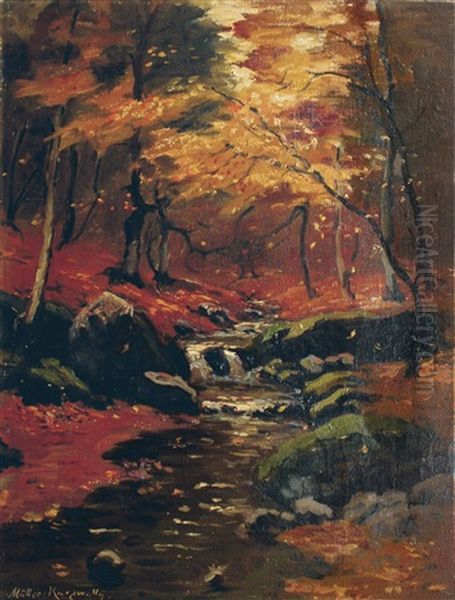 Bachlauf Im Herbstwald - view 1