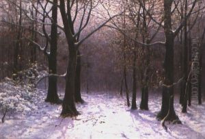 Waldlandschaft Im Winter