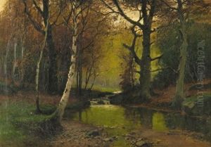 Forest Stream Forest Stream