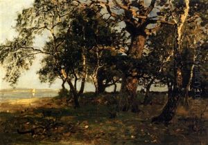 A Wooded Shore A Wooded Shore