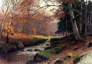 Herbstwald Mit Bachlauf Herbstwald Mit Bachlauf