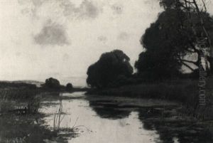 Stiller Weiher Mit Buschwerk, Schilf Und Blumen
