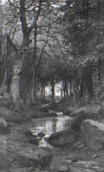 Waldbach - view 1