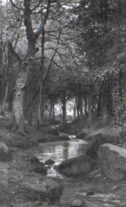 Waldbach by Konrad Alexander Mueller-Kurzwelly