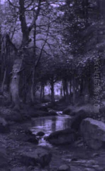 Waldbach - view 1