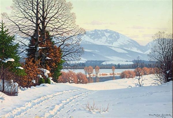 Prachtvolle, Sonnig Beleuchtete Winterlandschaft - view 1