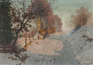 Winterlandschaft Im Sonnenlicht