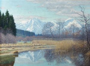 Landscape In The Alpine Foothills