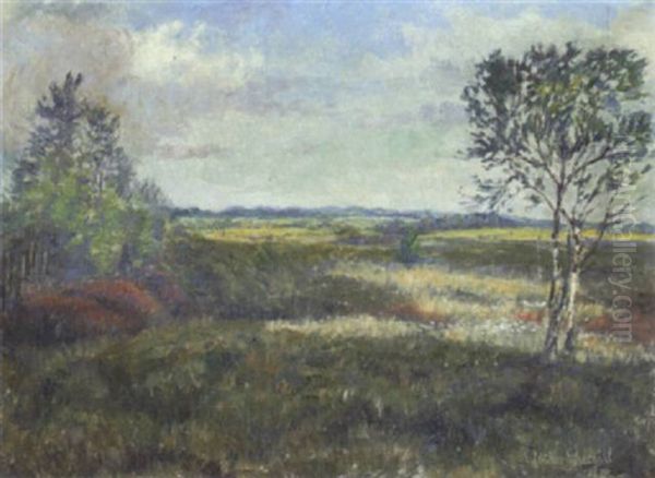 Moorlandschaft Mit Wollgras Und Jungen Birken - view 1