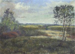 Moorlandschaft Mit Wollgras Und Jungen Birken by Ernst Mueller-Scheessel