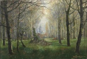 Blick Durch Eine Baumbestandene Rheinaue Auf Den Mainzer Dom