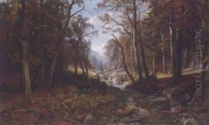 Waldlichtung