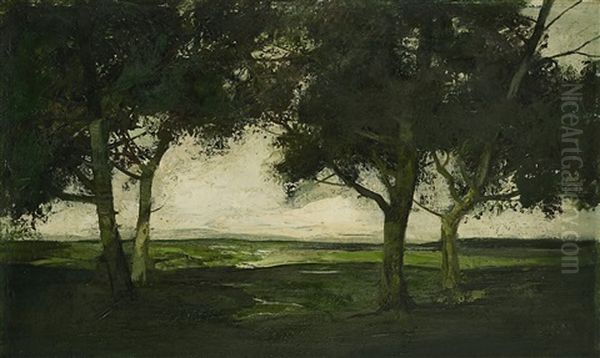 Vier Baume Vor Weiter Landschaft - view 1