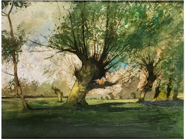 Sommerliche Landschaft Mit Baumen - view 1