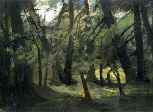 Waldinneres Waldinneres