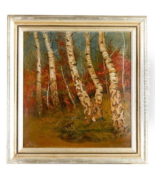 Study Of Birch Wood Trees - view 1