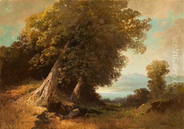 Forrest Landscape With Lake View - view 1