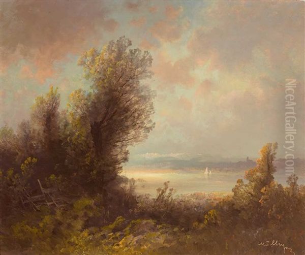 Oberbayerische Seenlandschaft An Einem Sommerabend - view 1