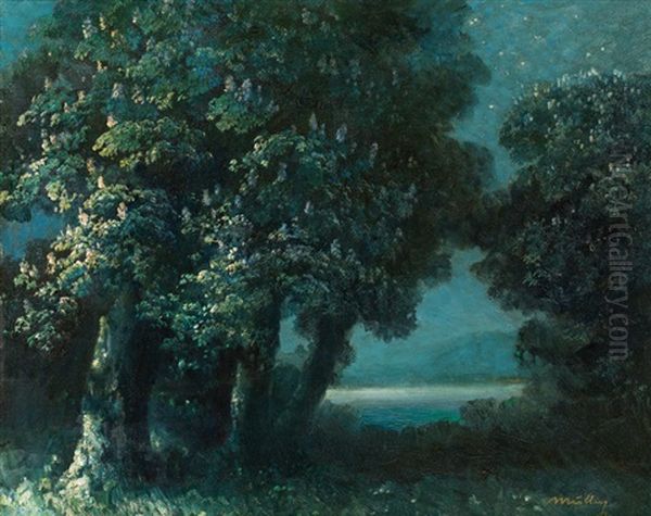 Night Atmosphere With Blooming Chestnut Trees At The Lake - view 1