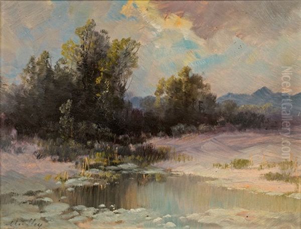 Winter Atmosphere - view 1