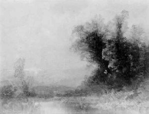 Moorlandschaft