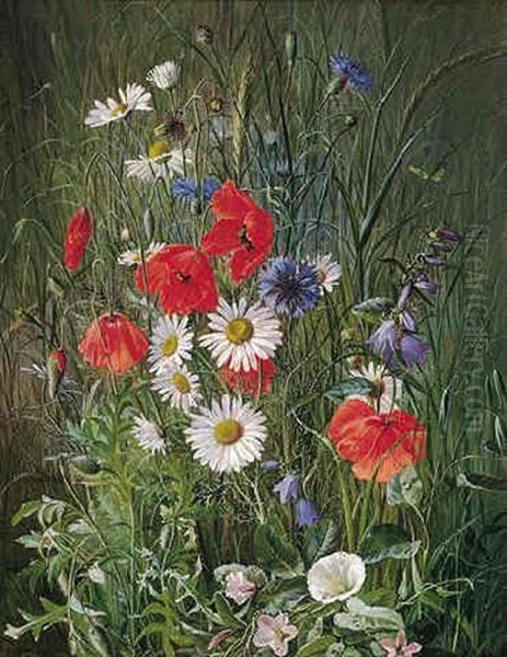 Danske Markblomster, Valmuer, Kornblomster, Margeritter - view 1