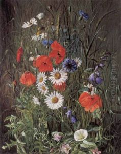 Voksende Valmuer, Kornblomster, Klokkeblomst Og Margueritter