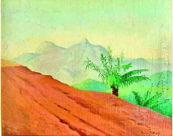 Monts De La Cascatigna, Environ De Petropolis, Au Bresil, Vers 1890 - view 1
