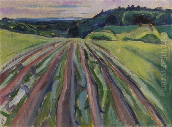 Ployemark (ploughed Field) - view 1