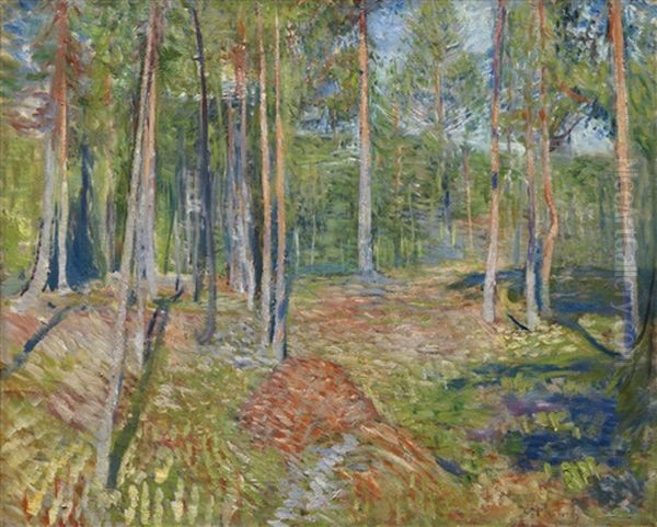 Furuskog (pine Forest) - view 1
