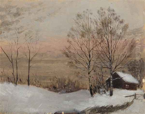Vinterlandskap - view 1