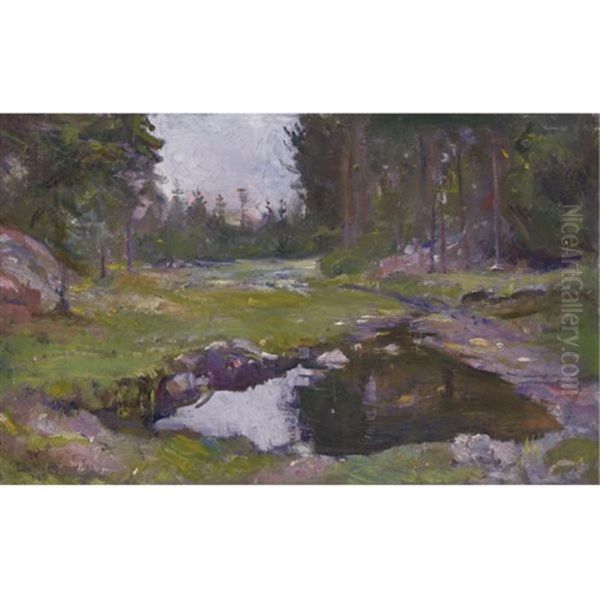 Skogs Landscap Med Tjern - view 1