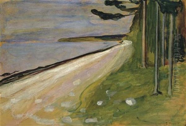 Uferlandschaft Bei Aasgaardstrand - view 1