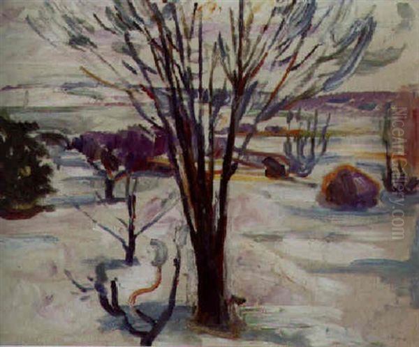 Winterlandschaft In Jeloya - view 1