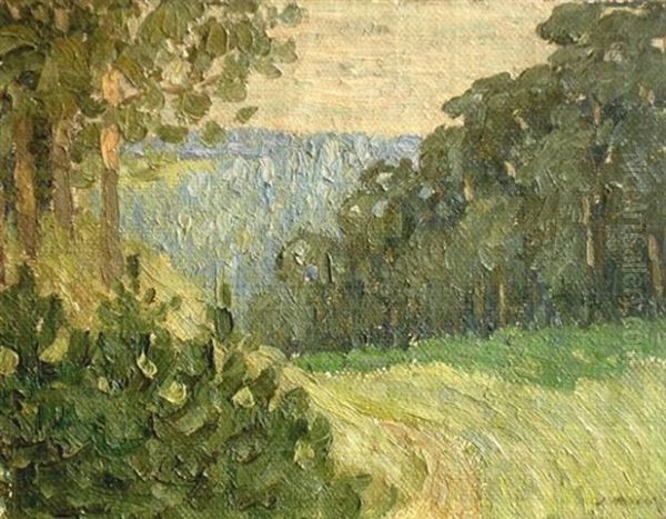 Landscape - view 1