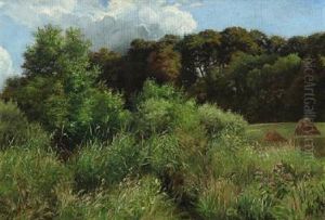 Summer's Day In The Meadow Summer's Day In The Meadow