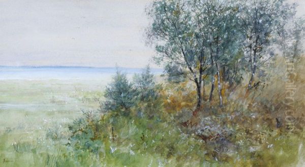 Landskap - view 1