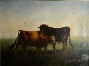 Cattle By Stream