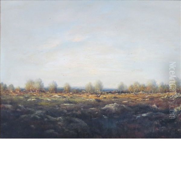 Autumn, Near Franchard - view 1