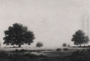 Near Charlotte (weidelandschaft)
