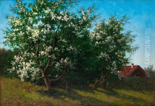 Fruit-tree In Bloom - view 1