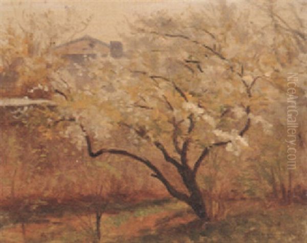 Orchard In Spring - view 1