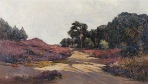 Route En Veluwe, Pays-bas Route En Veluwe, Pays-bas
