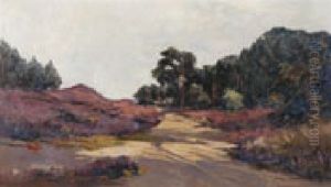Velue, Pays-bas by Xeno Muenninghoff